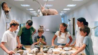 Familie mit Kindern an einem interaktiven Steintisch in der Naturkunde-Ausstellung des LandesMuseums Liechtenstein, umgeben von Tierpräparaten