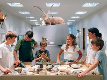 Familie mit Kindern an einem interaktiven Steintisch in der Naturkunde-Ausstellung des LandesMuseums Liechtenstein, umgeben von Tierpräparaten